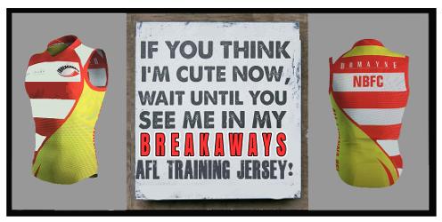 AFLWTrainingJersey